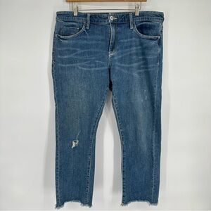 Pilcro and the Letterpress Medium Wash Distressed Slim Boyfriend Jeans Sz 32